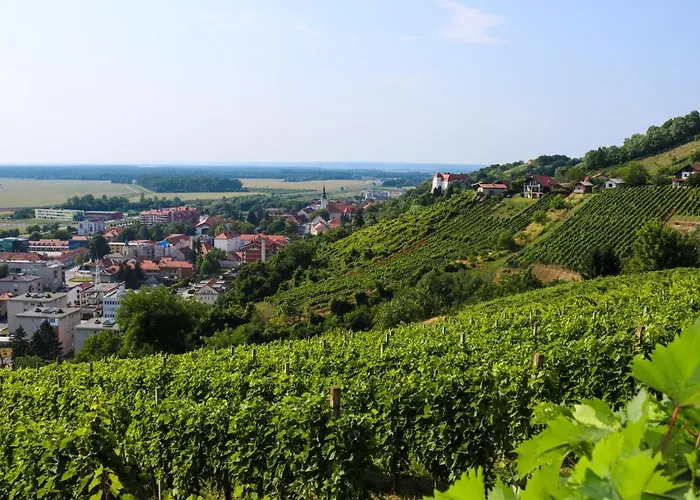 アパート Pocitniska Hiska Pod Hadikom